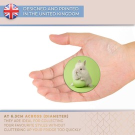 Destination Vinyl ltd Magnet for Refrigerator, Fridge - Cute Easter Bunny Rabbit Baby for Office, Cabinet and Whiteboard, Magnetic Stickers, 21486