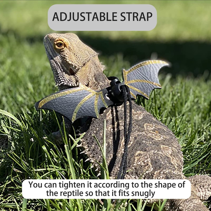 Soft Leashes for Small Pets -Ideal for Bearded Dragons, Amphibians