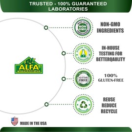 Magnesium Plus B-6 500 Mg 100 Tablets - Cardiovascular Health - Muscle Weakness - Dizziness