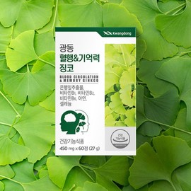 Blood Circulation Nutrients Ginkgo Leaf Extract Effects Nutrients that are good for the brain / 혈액순환영양제 은행잎추출물 효능 뇌에 좋은 영양제