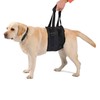 Ortocanis - Dog Lifting Harness with Movement Problems - Hind