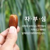 프리미엄 유기농 알제리 대추야자 선물용, 500g, 1개 Premium Organic Algerian