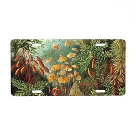 CafePress Vintage Plants Decorative Aluminum License Plate, Front License Plate, Vanity Tag