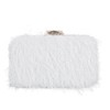 SUKUTU Feather Evening Bag for Women Shoulder Acrylic Box Bag