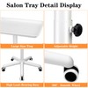 Salon Tray, Salon Rolling Tray with Adjustable Height, Salon Tray