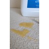 protectME Battery Sprayer for Use with Premium Fabric Protector and