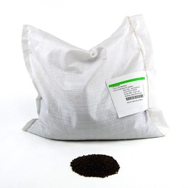 Red Rock Mammoth Cabbage Seeds: 5 Lb - Bulk, Non-GMO, Chemical Free Sprouting Seeds for Vegetable Garden & Growing Microgreens