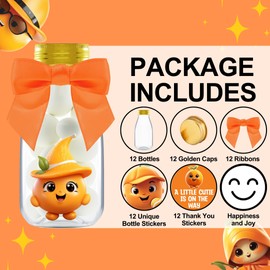 Ethisa 12 Pack Tangerine Plastic Bottles