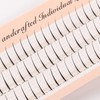 60 Pcs & 120 Bundles Free Union False Eyelashes Mixed