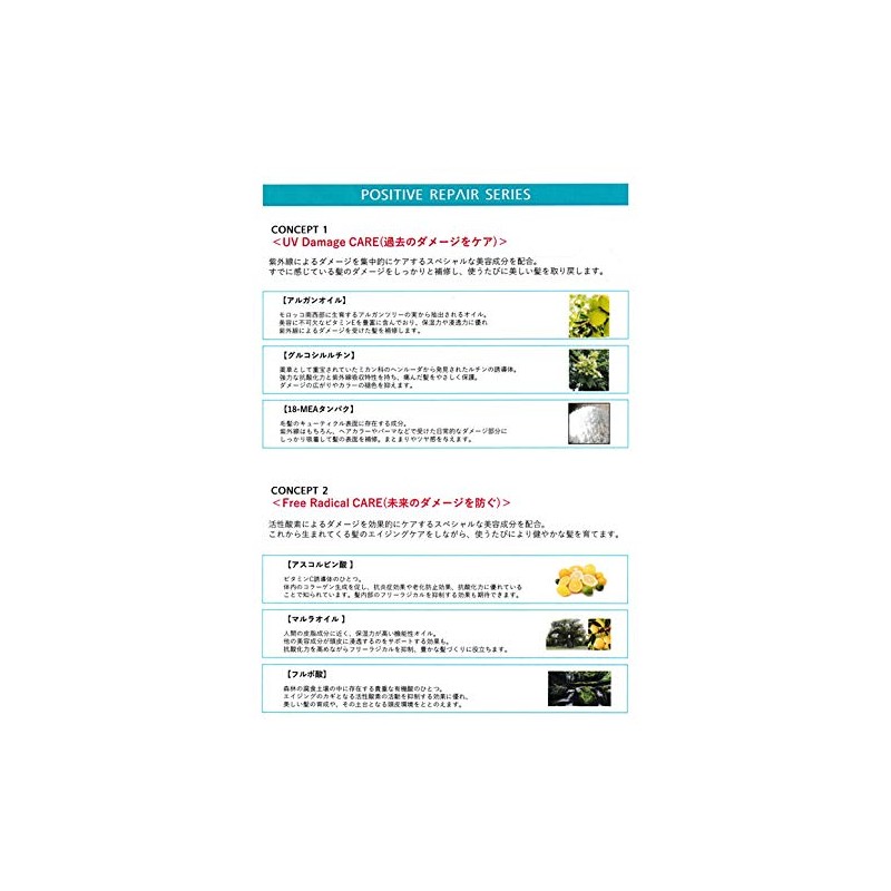 E Standard Treatment Positive Repair, 16.9 fl oz (500 ml),