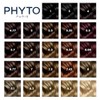 Phyto Phytocolor # 8.3 rubio claro dorado