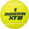 Bridgestone BBA2XT XT8 Single Can (2 balls)