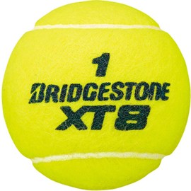Bridgestone BBA2XT XT8 Single Can (2 balls)