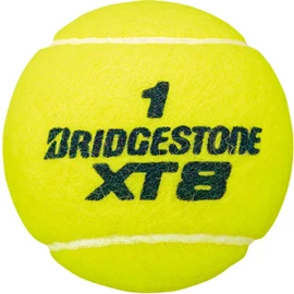 Bridgestone BBA2XT XT8 Single Can (2 balls)