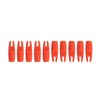 Bogenkönig F021 Panda R Youth Bow Cam Replacement Ends Arrow
