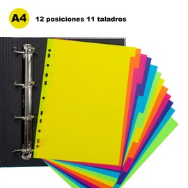 Grafoplás Dividers Set in Fluorescent Colours, 12 Positions, Polypropylene Algae Quality, 500μ, 11 Drills, Bits & Bobs Pop and Design