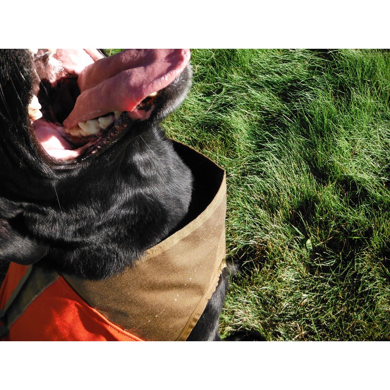 CUGA Vest Serious Protection for The Active Dog (MED, Orange/Coyote)