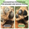 Golden Pets Paw Stick for Dogs & Cats