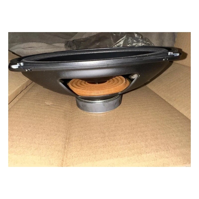 Riverpark 100W - 4 Ohm -6" x 9" Oval -