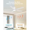 DAMINY 52 inch Ceiling Fans with Lights,5 Blades,6CCT, Remote Control