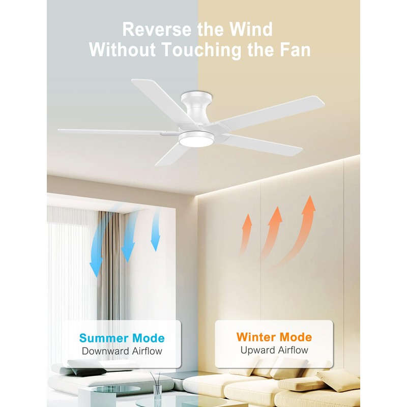 DAMINY 52 inch Ceiling Fans with Lights,5 Blades,6CCT, Remote Control