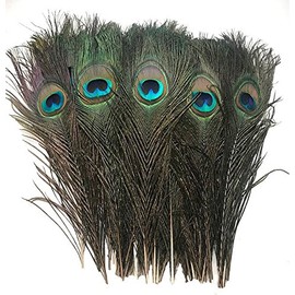 Peacock Eye Feathers 10-12" (Natural, per 100)