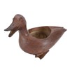 Duck Shaped Planter Resin Waterproof Decorative Animal Flower Pot for