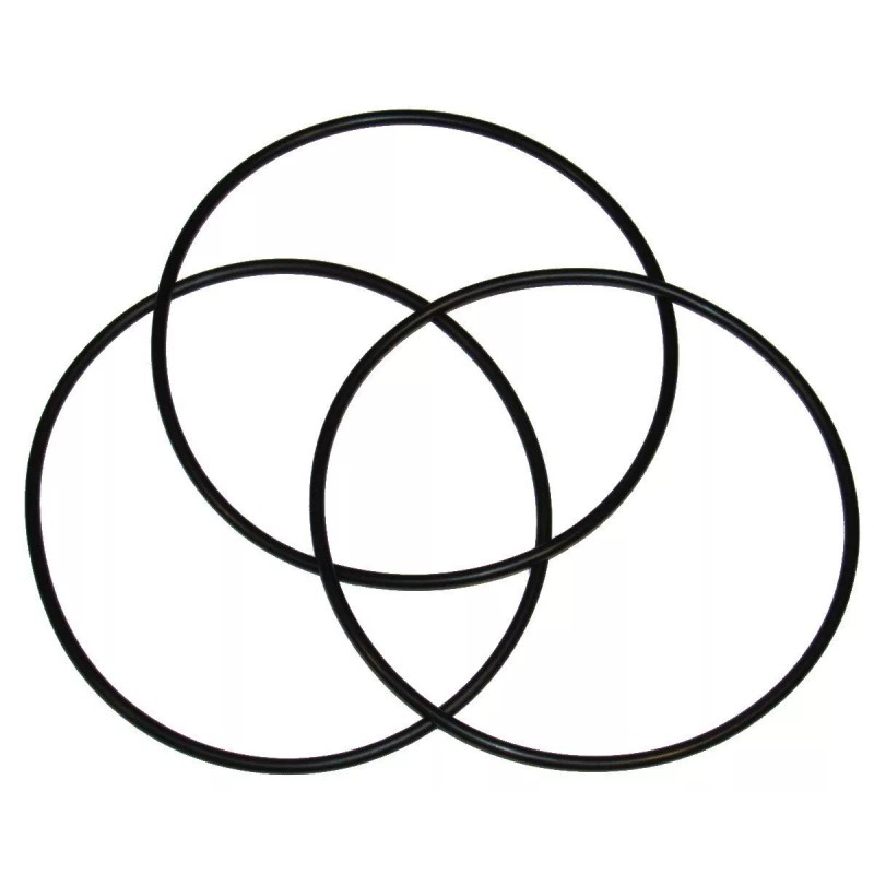 Captain O-Ring AO-WH-LG-OR, PS-WHL-ORG O-Rings for AO Smith AO-WH-PREL, PS-WHL-H