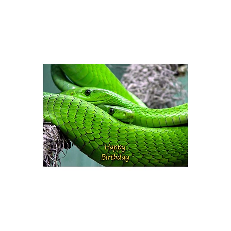 Snake Birthday Card
