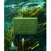 Bollayon [Natural Soap] Pore Blackhead Care Spinum Block 120g