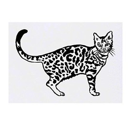 'Bengal Cat' Temporary Tattoo - Water Resistant, Skin-Safe, Non-Toxic Transfer (TO00027406)