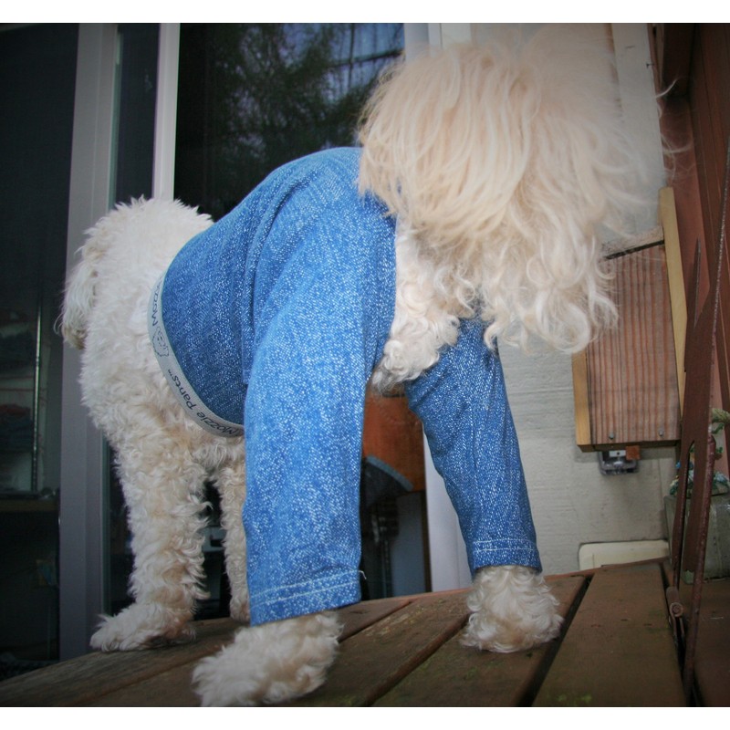 Mozzie Pants Walking E-Collar Alternative, Dog Pajamas, Medium, Blue