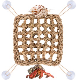 FWUNYVN Hermit Crab Climbing Toys,Lizard Seagrass Mat,Hermit Crab Hammock with Suction Cups,Hermit Crab Supplies Decor Habitat,Small Reptile Tank Accessories for Guinea Pigs Hamsters Geckos (Square)