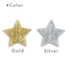 kokoni (Birthday Christmas) Star Garland, Gold/Silver, String Approx. 3.3 ft