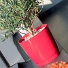 Prosper Plast DUOP180-426U 18 x 16.5 cm Coubi Flowerpot -