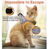 FAYOGOO Cat Harness and Lead Set, Cat Harness for Walking