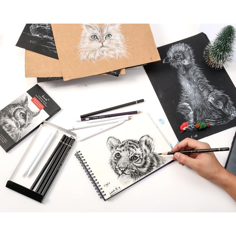 Brusarth Charcoal Drawing Set -12 pc Black charcoal pencils, White