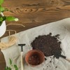 Doter Christmas Cactus Potting Soil Mix 2qt, Ideal for Succulents,