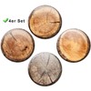 Fridge Magnets Tree Trunk Discs Gift Set of 4 Vintage