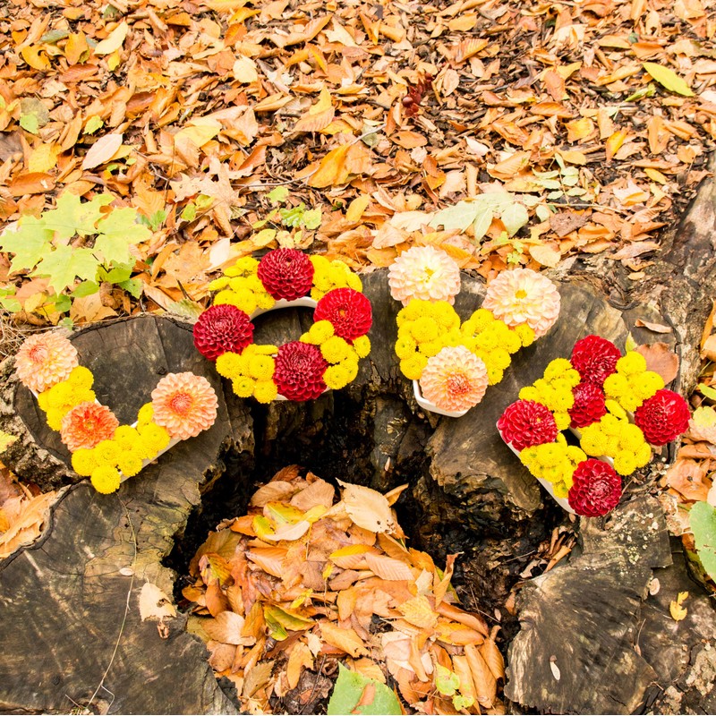 Weddingstar"LOVE" Plates Set