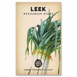 The Little Veggie Patch Co Leek 'Bulgarian Giant' H'loom Seeds, 1 pack