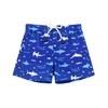 Sarfel Toddler Swim Trunks 3T Boys Swimsuit Toddler Swimsuit Boy