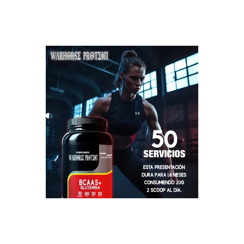 Aminoacidos Pre Entreno Bcaas +glutamina 1kg Warhorse Varios