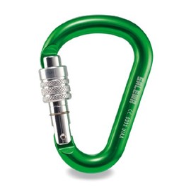 Salewa HMS Screw G2 Carabina - Multi-Coloured Various Size:GREEN