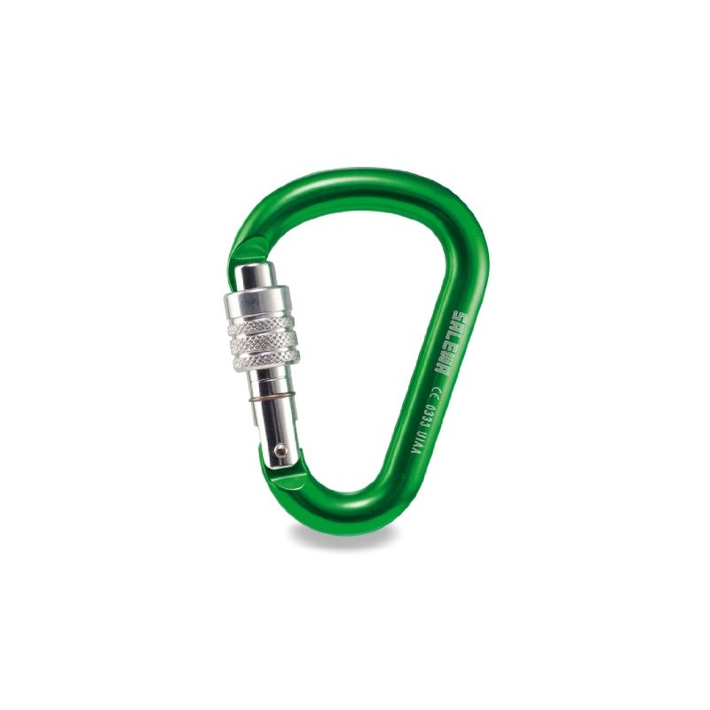 Salewa HMS Screw G2 Carabina - Multi-Coloured Various Size:GREEN