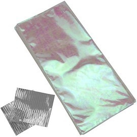 Iconikal Cello Bags, Iridescent Holographic, 5 x 11-Inch, 100-Count