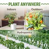 Rooted Acre 8 Varieties Hot Peppers – 240 Heirloom Seeds,