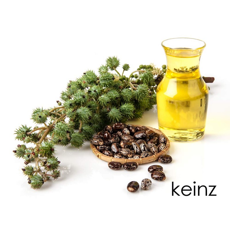keinz Orga Kaynes Castor Oil (Castor Oil), 19.3 fl oz