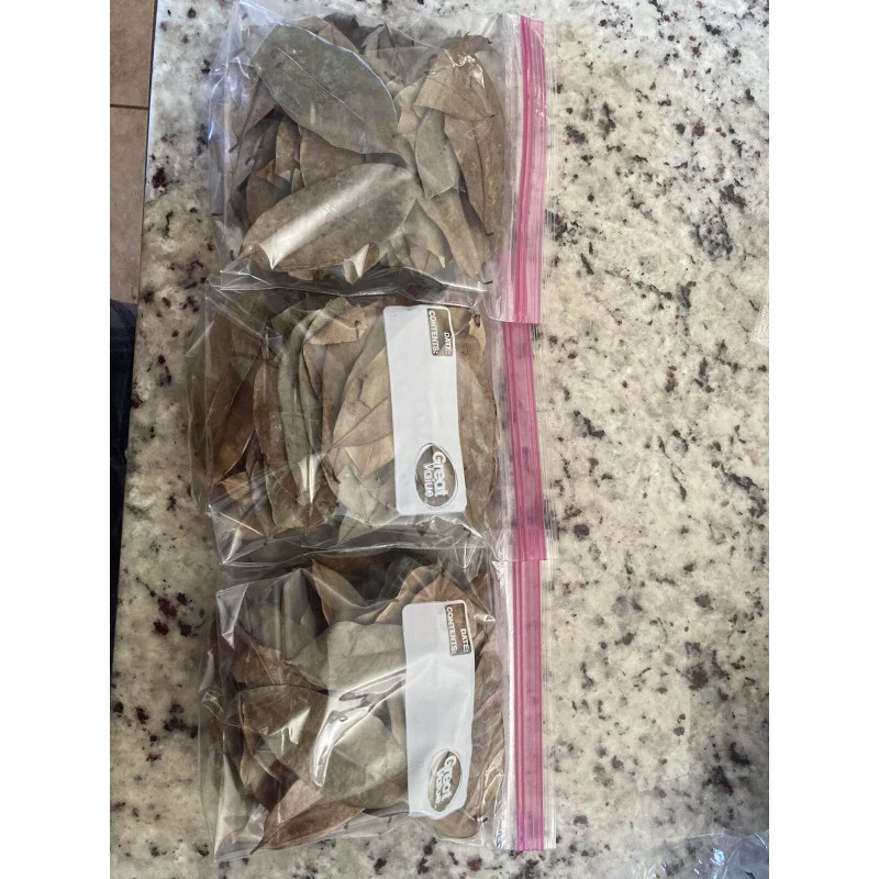 100% Pure 100 % Organic Soursop Leaves, dried Leaves From