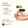 VETAIN Organic Spirulina & Chlorella Pellets - 500 Tablets -